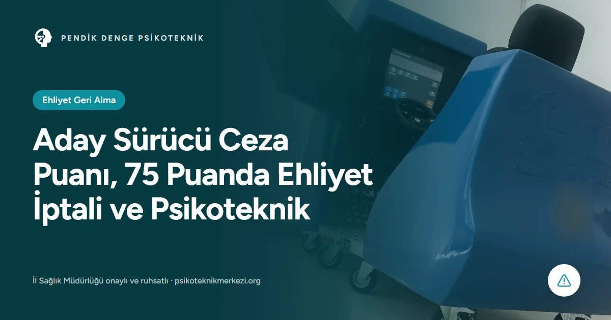 Aday Sürücü Ceza Puanı, 75 Puan Aşılınca Ehliyet İptali ve Psikoteknik - Pendik Denge Psikoteknik Merkezi