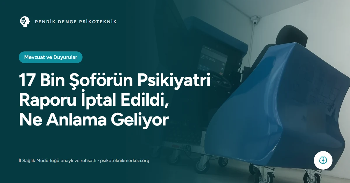 17 Bin Şoförün Psikiyatri Raporu İptal Edildi, Ne Anlama Geliyor - Pendik Denge Psikoteknik Merkezi