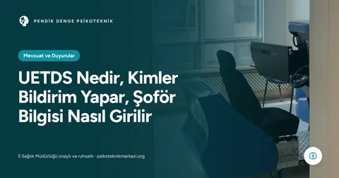 UETDS Nedir, Kimler Bildirim Yapar, Şoför Bilgisi Nasıl Girilir