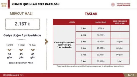 İçişleri Bakanlığı Ceza Kataloğu Taslağı, Psiko-Teknik İstenen İhlaller - sayfa 3