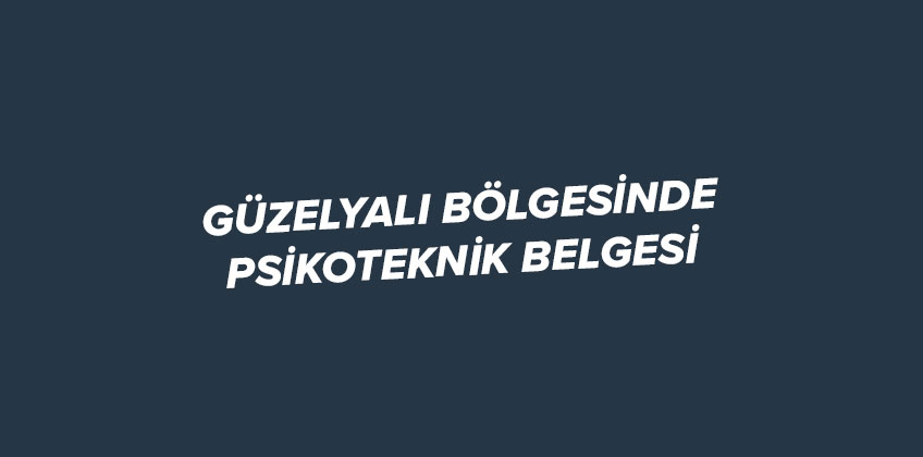guzelyali psikoteknik belgesi